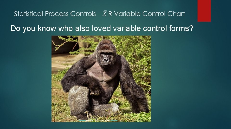 Do you know who also loved variable control forms? This Photo by Unknown Author Do you know who also loved variable control forms? This Photo by Unknown Author
