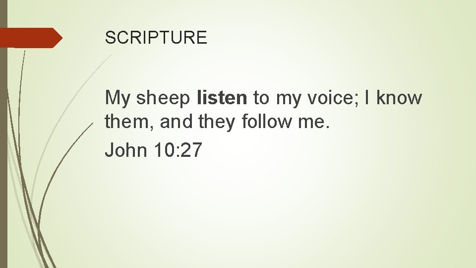 SCRIPTURE My sheep listen to my voice; I know them, and they follow me.