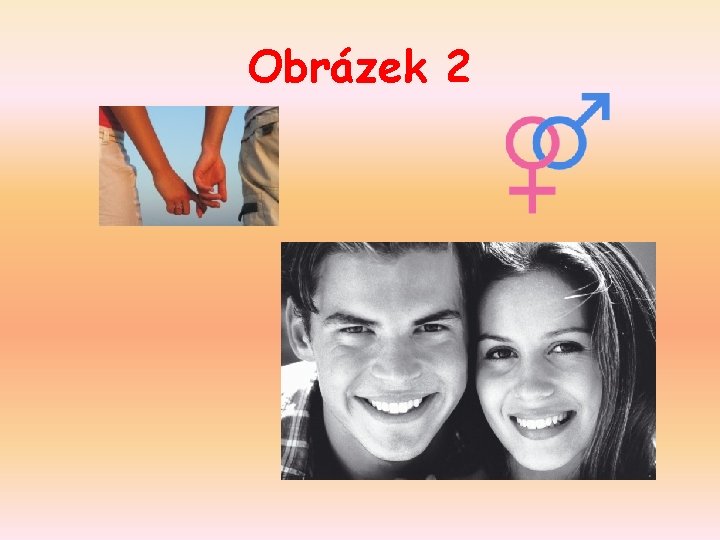 Obrázek 2 