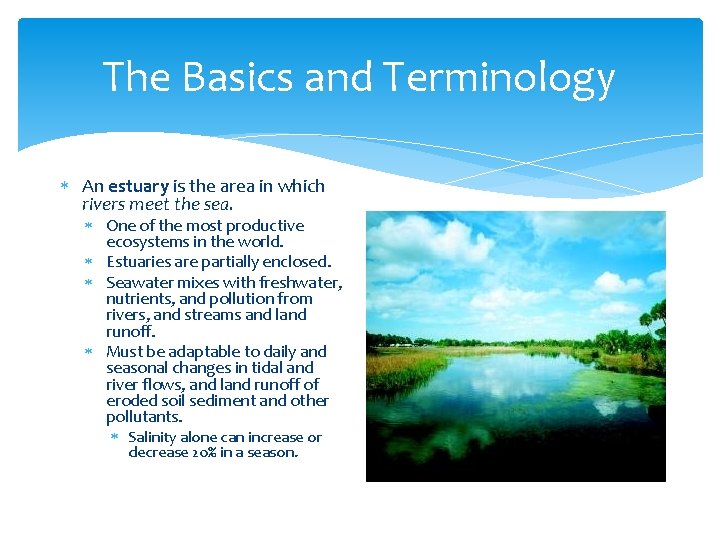 The Basics and Terminology An estuary is the area in which rivers meet the