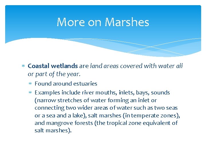 More on Marshes Coastal wetlands are land areas covered with water all or part