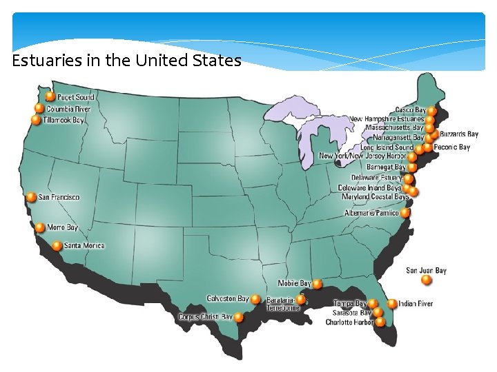 Estuaries in the United States 