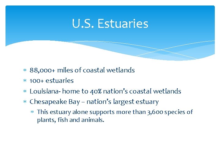 U. S. Estuaries 88, 000+ miles of coastal wetlands 100+ estuaries Louisiana- home to