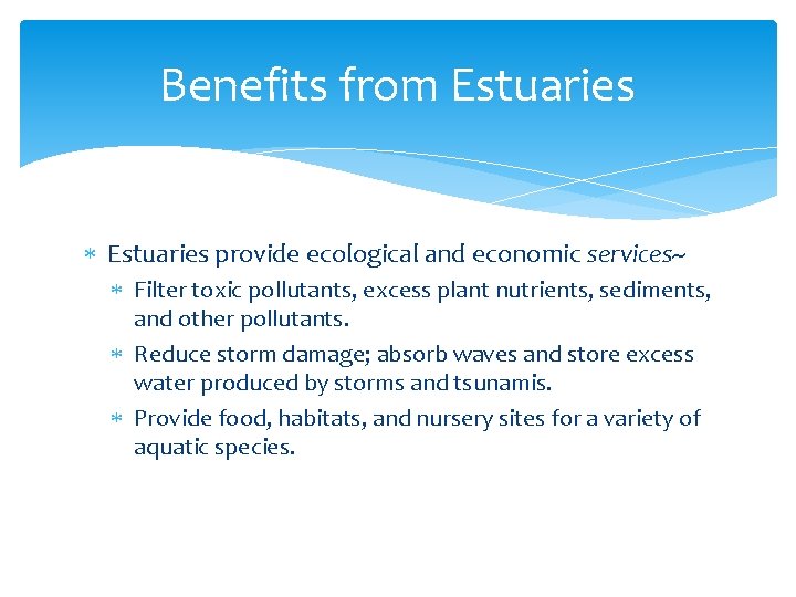 Benefits from Estuaries provide ecological and economic services~ Filter toxic pollutants, excess plant nutrients,