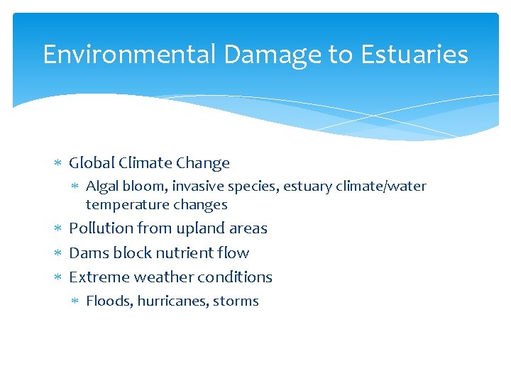 Environmental Damage to Estuaries Global Climate Change Algal bloom, invasive species, estuary climate/water temperature