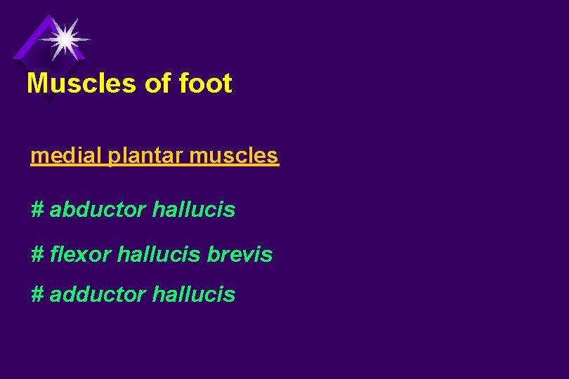 Muscles of foot medial plantar muscles # abductor hallucis # flexor hallucis brevis #
