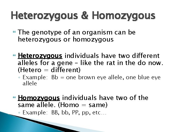 Heterozygous & Homozygous The genotype of an organism can be heterozygous or homozygous Heterozygous