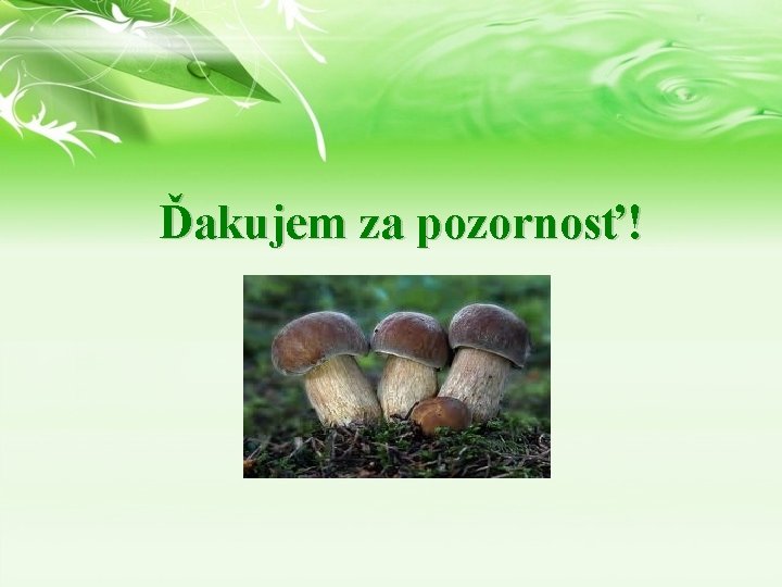 Ďakujem za pozornosť! Ďakujem za pozornosť!