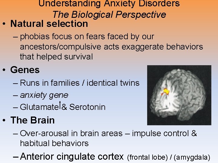 Understanding Anxiety Disorders The Biological Perspective • Natural selection – phobias focus on fears