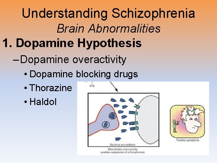 Understanding Schizophrenia Brain Abnormalities 1. Dopamine Hypothesis – Dopamine overactivity • Dopamine blocking drugs