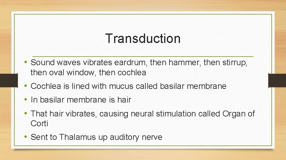 Transduction • Sound waves vibrates eardrum, then hammer, then stirrup, then oval window, then