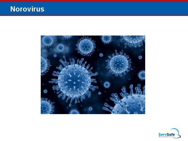 Norovirus 