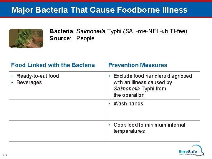 Major Bacteria That Cause Foodborne Illness Bacteria: Salmonella Typhi (SAL-me-NEL-uh TI-fee) Source: People Food