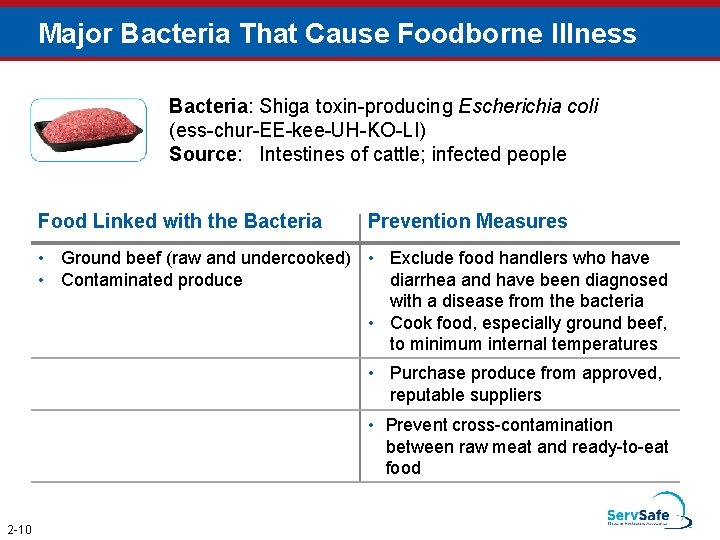 Major Bacteria That Cause Foodborne Illness Bacteria: Shiga toxin-producing Escherichia coli (ess-chur-EE-kee-UH-KO-LI) Source: Intestines