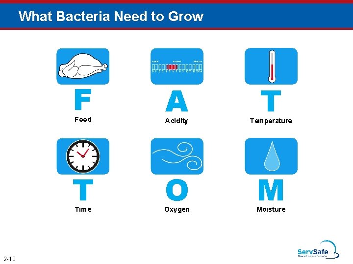 What Bacteria Need to Grow F T Food Acidity Temperature T O M Time