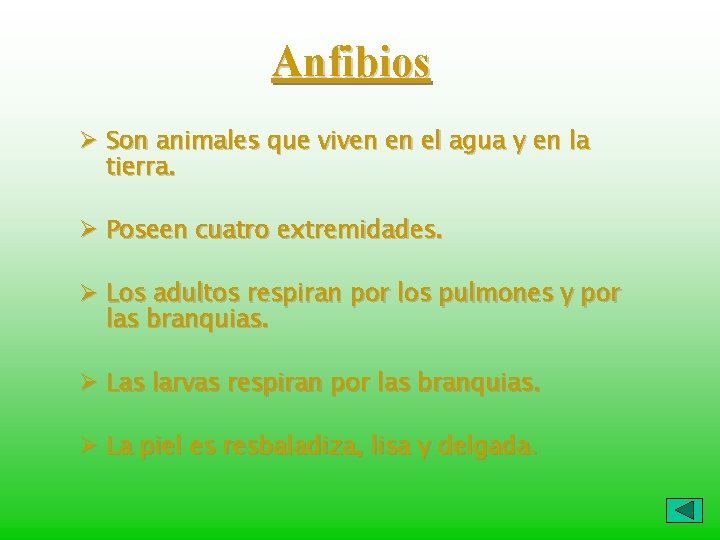 Anfibios Ø Son animales que viven en el agua y en la tierra. Ø