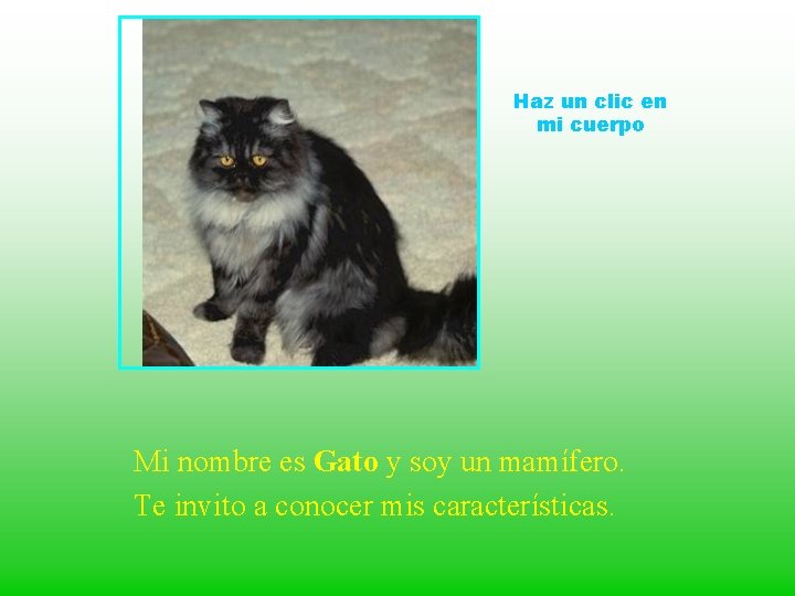 Haz un clic en mi cuerpo Mi nombre es Gato y soy un mamífero.