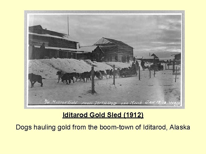 Iditarod Gold Sled (1912) Dogs hauling gold from the boom-town of Iditarod, Alaska 