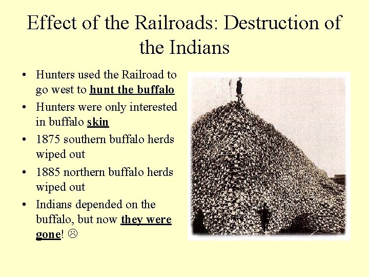 Effect of the Railroads: Destruction of the Indians • Hunters used the Railroad to