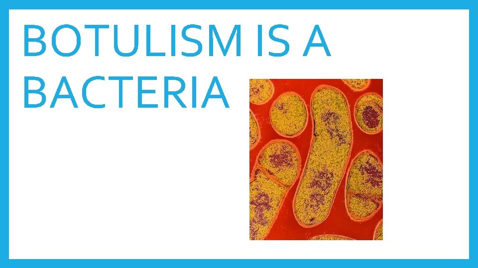 BOTULISM IS A BACTERIA 