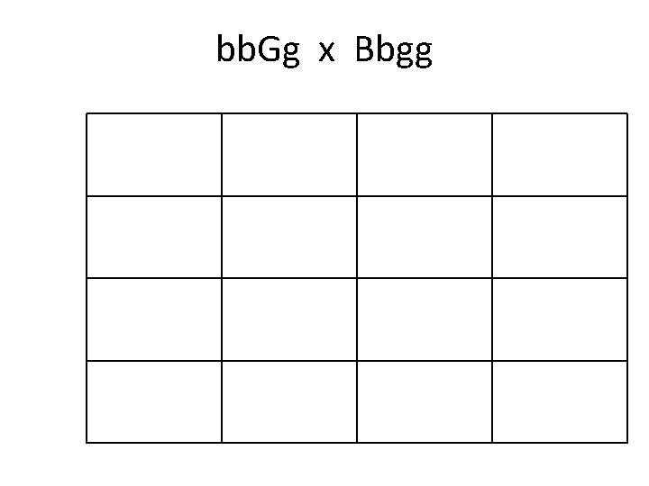 bb. Gg x Bbgg 