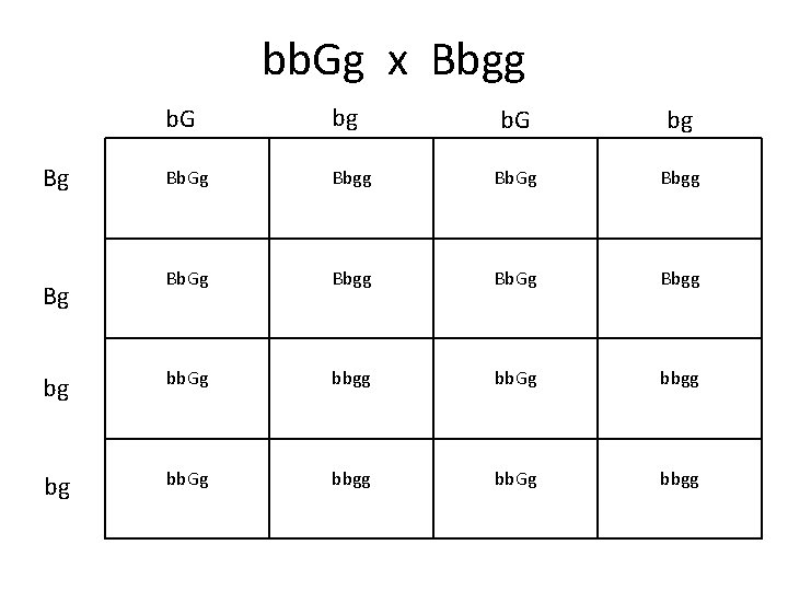 bb. Gg x Bbgg b. G bg Bb. Gg b. G bg Bbgg Bb.