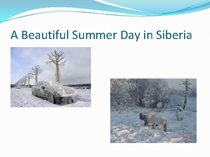 A Beautiful Summer Day in Siberia 