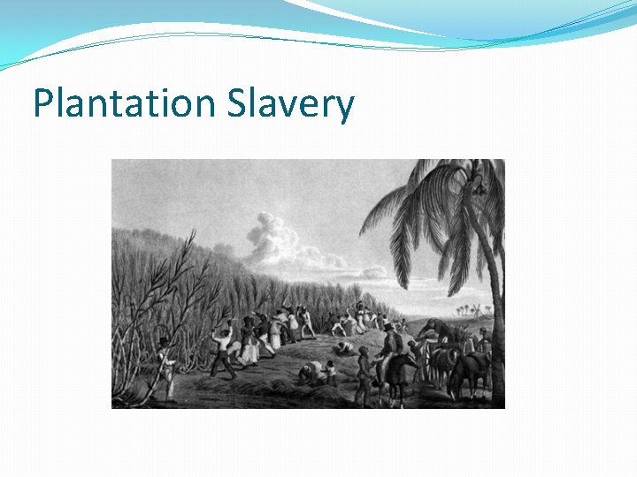 Plantation Slavery 