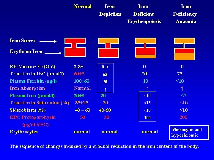 Normal Iron Depletion Iron Deficient Erythropoiesis Iron Deficiency Anaemia Iron Stores Erythron Iron RE