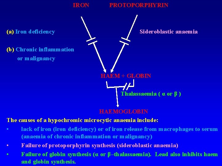 IRON (a) Iron deficiency PROTOPORPHYRIN Sideroblastic anaemia (b) Chronic inflammation or malignancy HAEM +