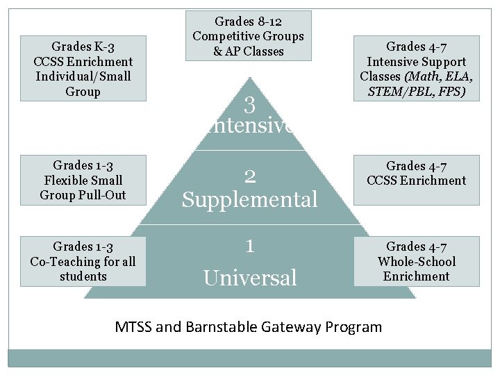 Grades K-3 CCSS Enrichment Individual/Small Group Grades 1 -3 Flexible Small Group Pull-Out Grades