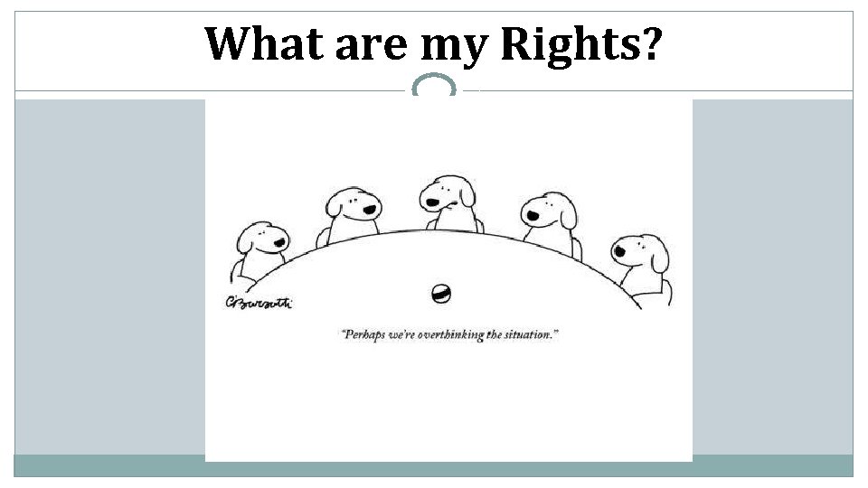 What are my Rights? 