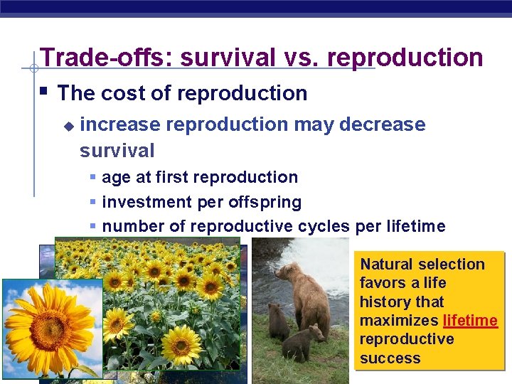 Trade-offs: survival vs. reproduction § The cost of reproduction u increase reproduction may decrease