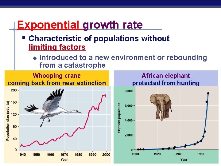 Exponential growth rate § Characteristic of populations without limiting factors u introduced to a