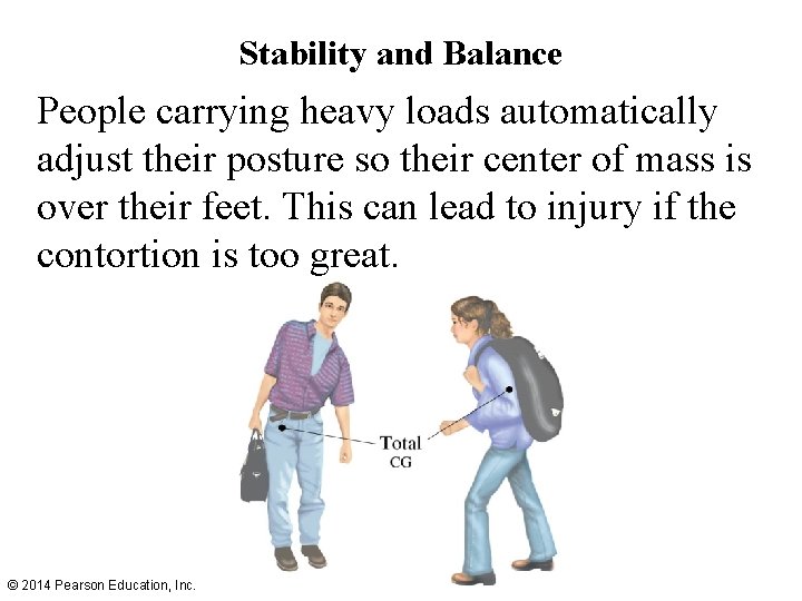 Stability and Balance People carrying heavy loads automatically adjust their posture so their center