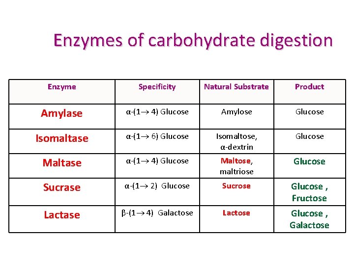Enzymes of carbohydrate digestion Enzyme Specificity Natural Substrate Product Amylase α-(1 4) Glucose Amylose