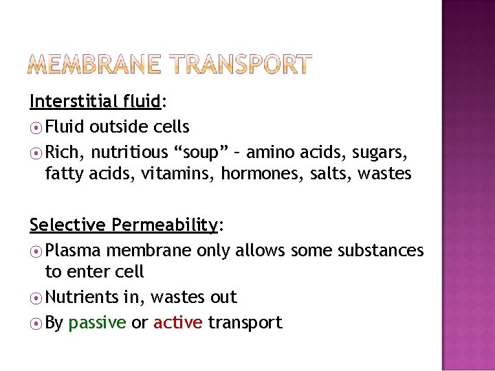Interstitial fluid: ⦿ Fluid outside cells ⦿ Rich, nutritious “soup” – amino acids, sugars,