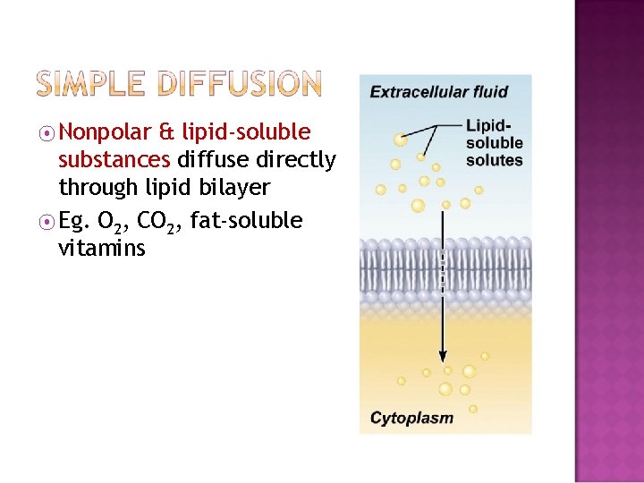 ⦿ Nonpolar & lipid-soluble substances diffuse directly through lipid bilayer ⦿ Eg. O 2,