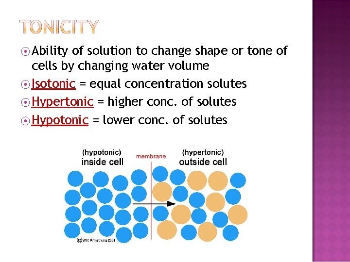 ⦿ Ability of solution to change shape or tone of cells by changing water