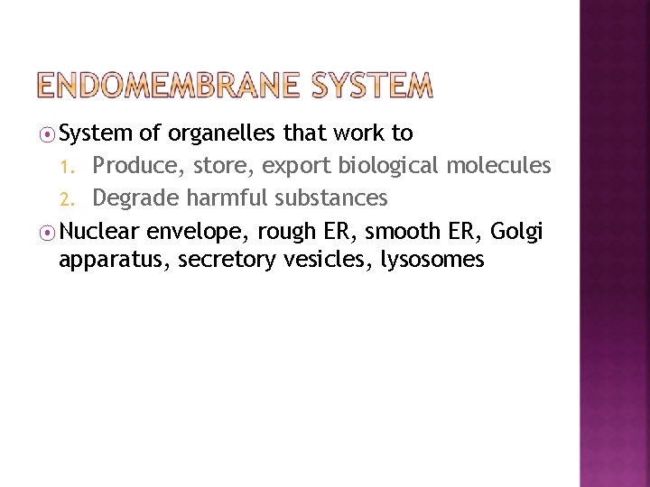⦿ System of organelles that work to 1. Produce, store, export biological molecules 2.