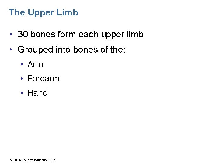 The Upper Limb • 30 bones form each upper limb • Grouped into bones