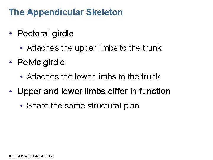 The Appendicular Skeleton • Pectoral girdle • Attaches the upper limbs to the trunk