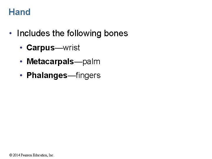 Hand • Includes the following bones • Carpus—wrist • Metacarpals—palm • Phalanges—fingers © 2014
