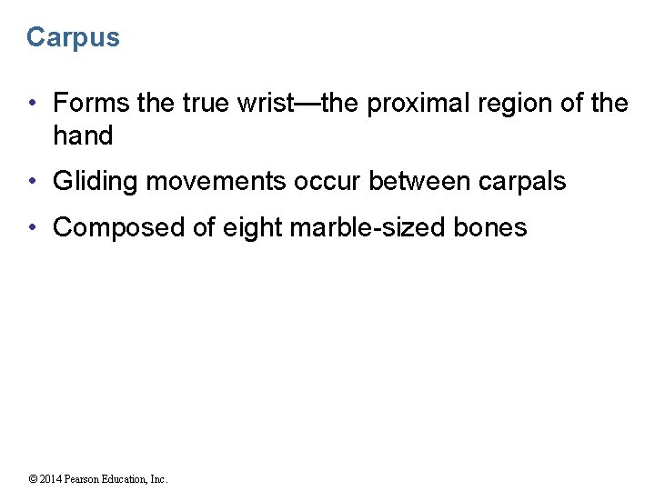 Carpus • Forms the true wrist—the proximal region of the hand • Gliding movements