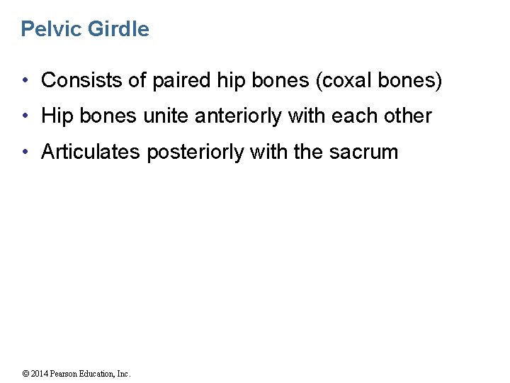 Pelvic Girdle • Consists of paired hip bones (coxal bones) • Hip bones unite