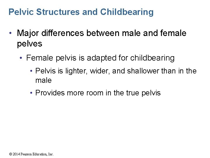 Pelvic Structures and Childbearing • Major differences between male and female pelves • Female