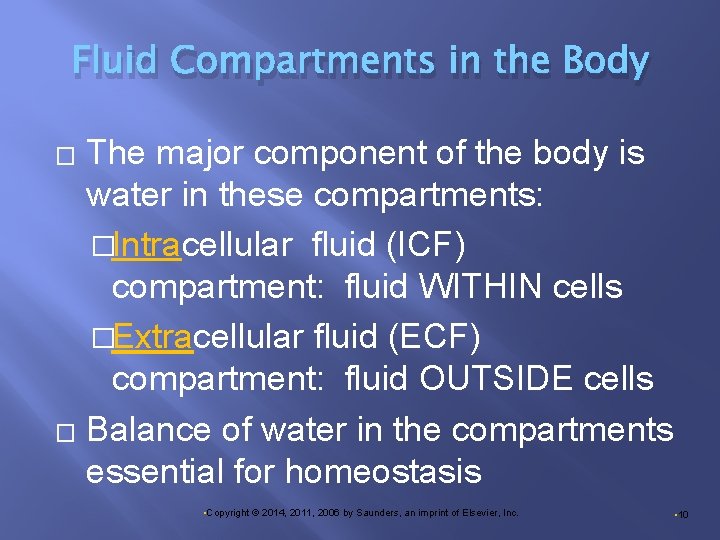 Fluid Compartments in the Body The major component of the body is water in
