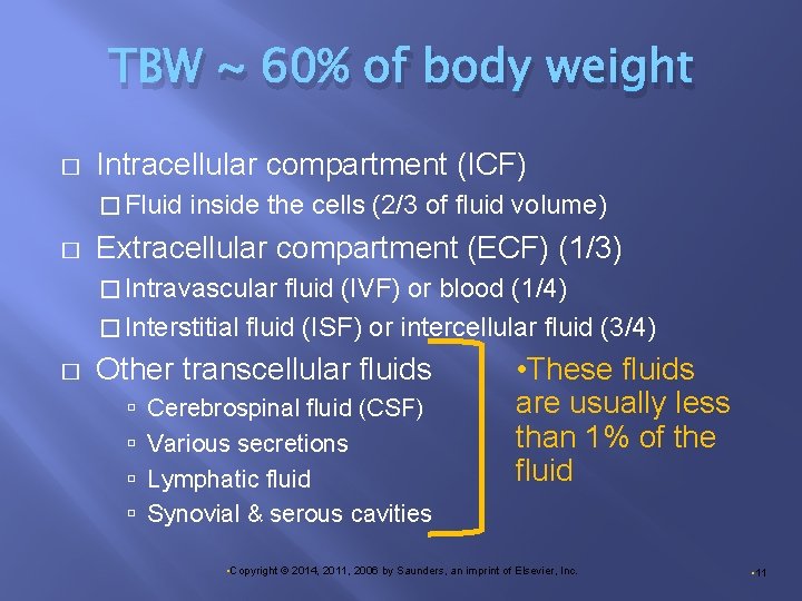 TBW ~ 60% of body weight � Intracellular compartment (ICF) � Fluid � inside