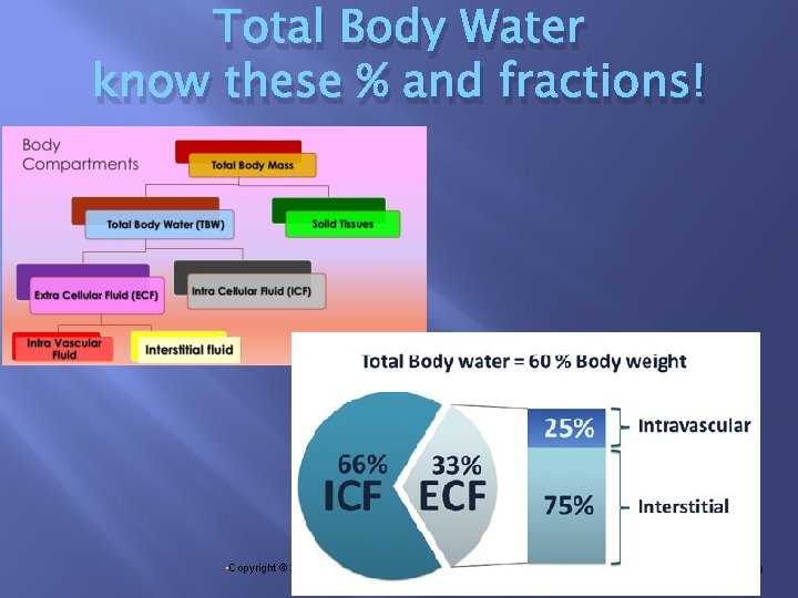 Total Body Water know these % and fractions! • Copyright © 2014, 2011, 2006