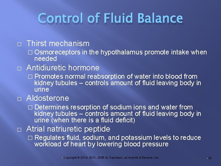 Control of Fluid Balance � Thirst mechanism � Osmoreceptors needed � in the hypothalamus
